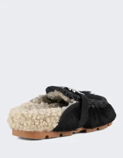 Dames Winter Bio