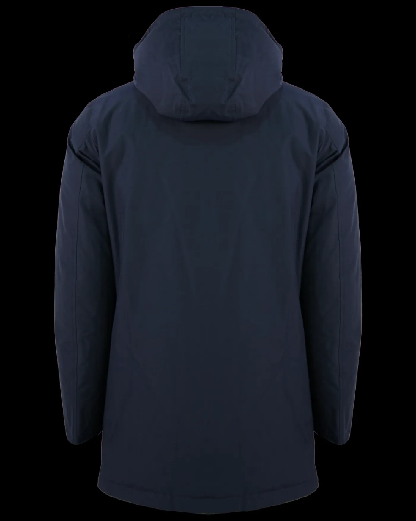 Heren Arctic Parka Blauw