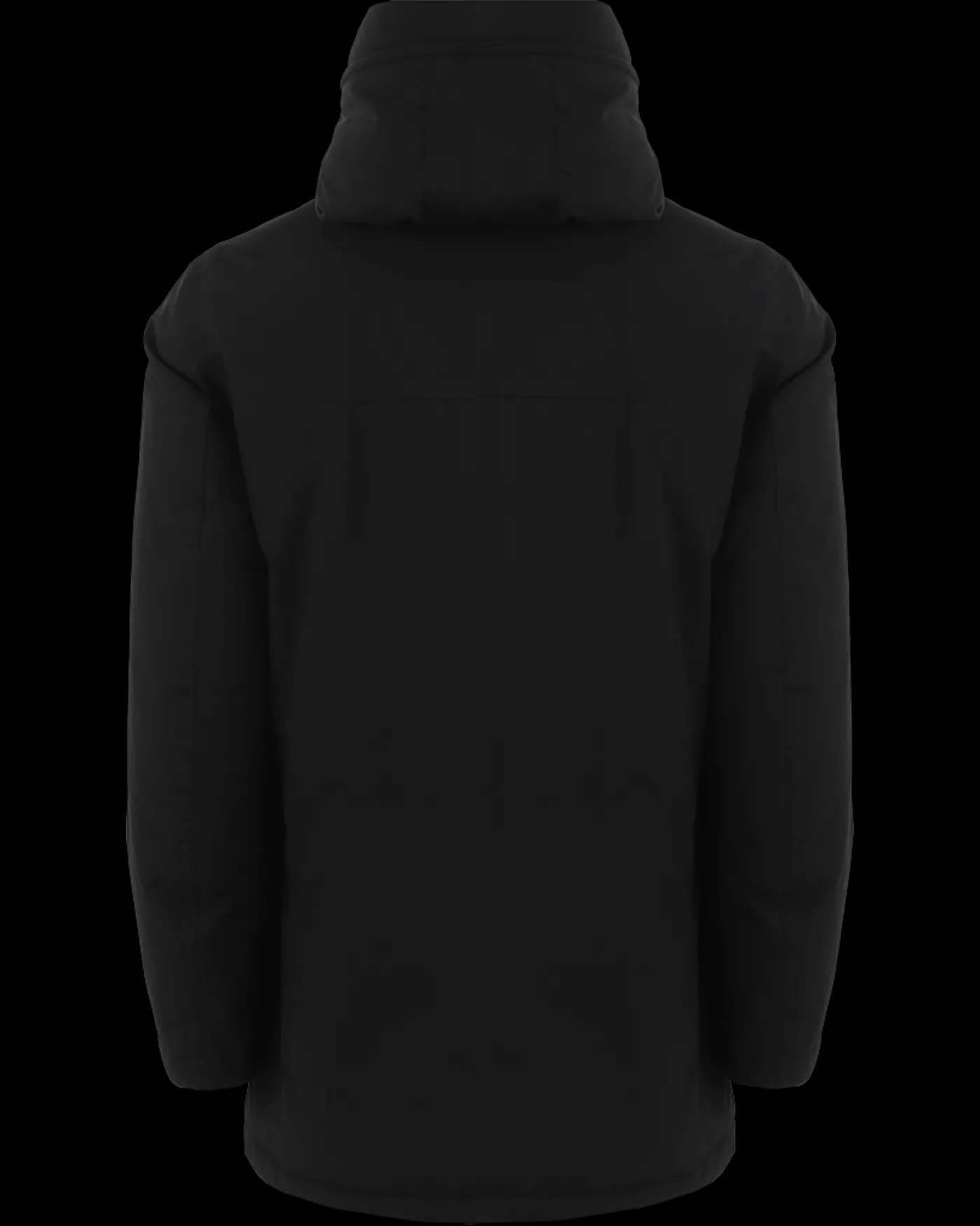 Heren Arctic Parka Evolution Zwart