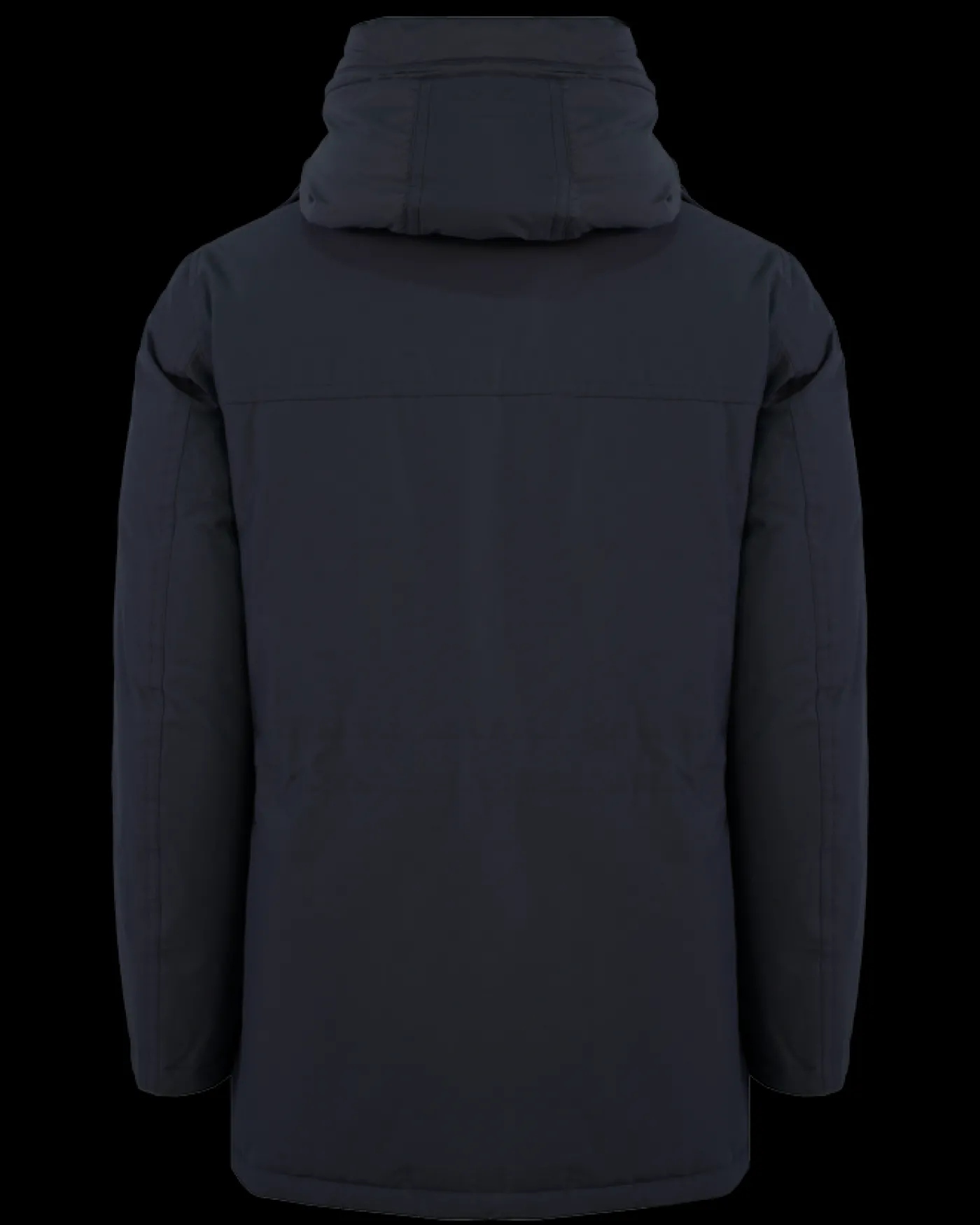 Heren Arctic Parka Evolution Blauw