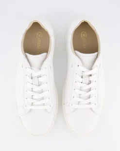 Heren Bruno Sneaker Wit