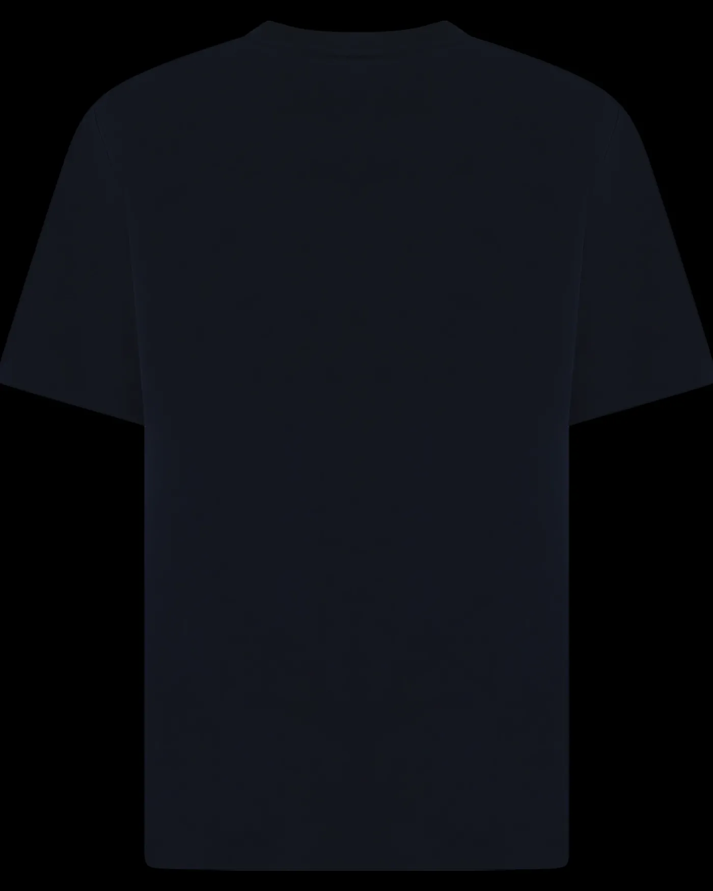 Heren 1Ht1 Men T-Shirt Blauw