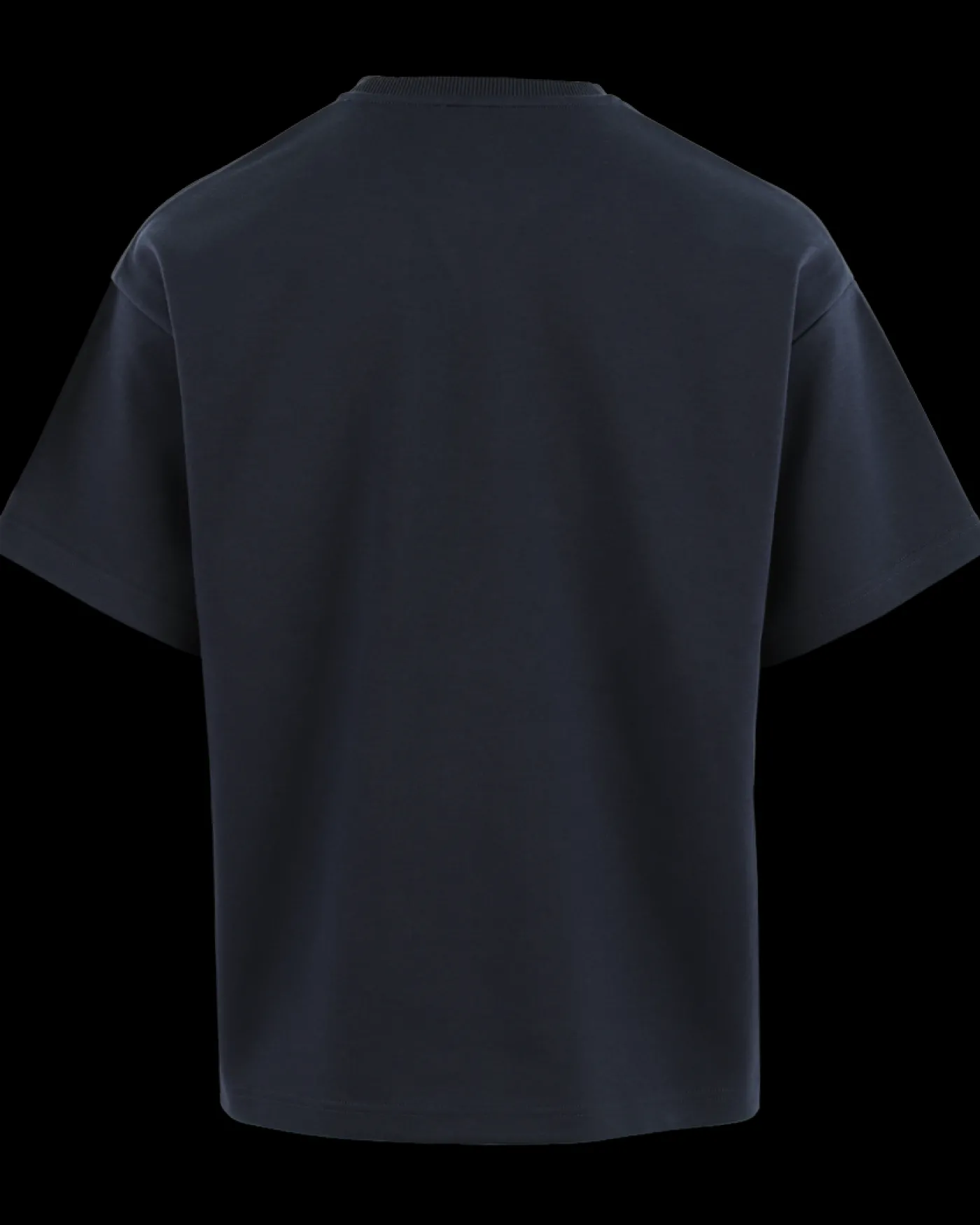 Heren Jahev T-Shirt Blauw