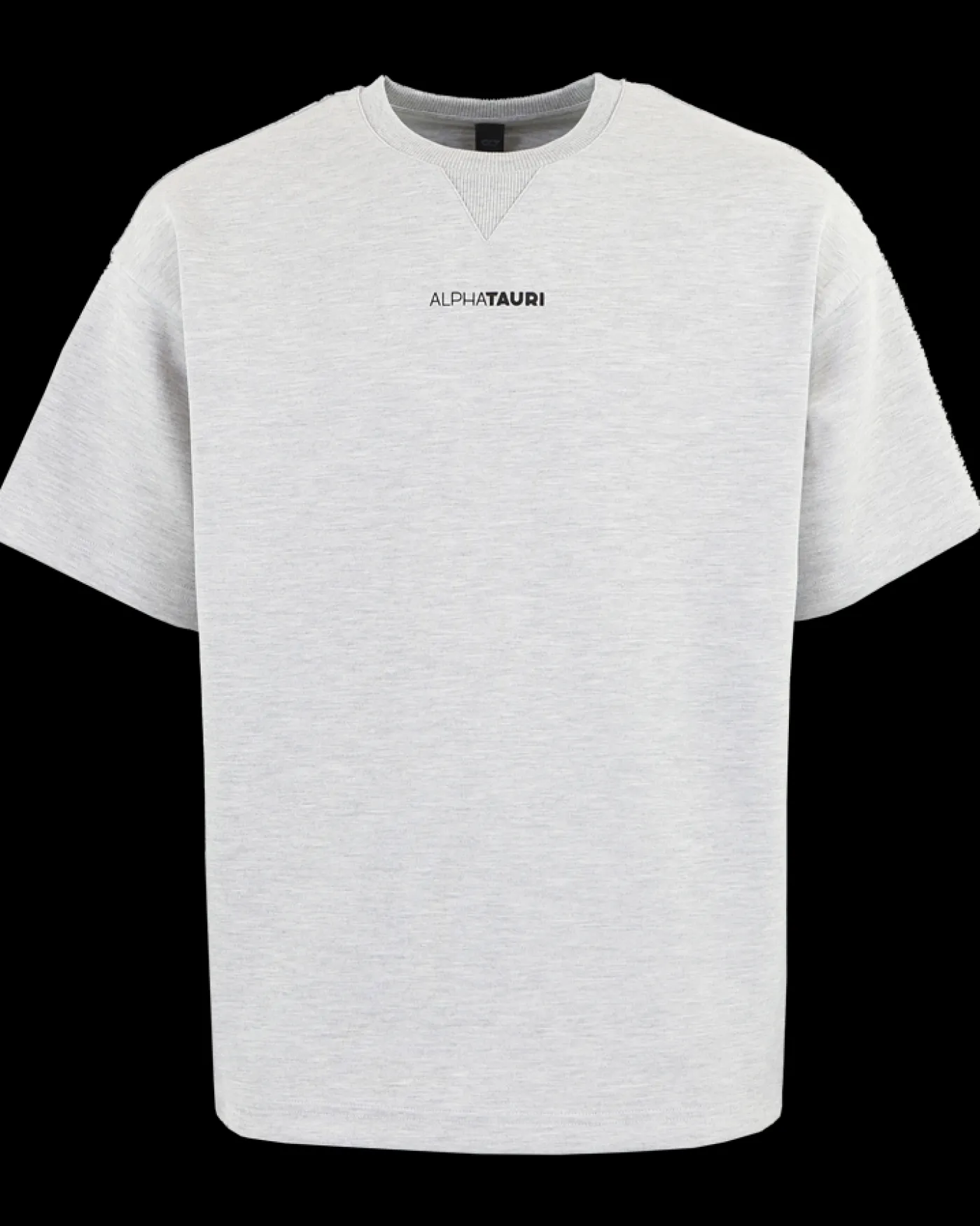 Heren Jahev T-Shirt Grijs