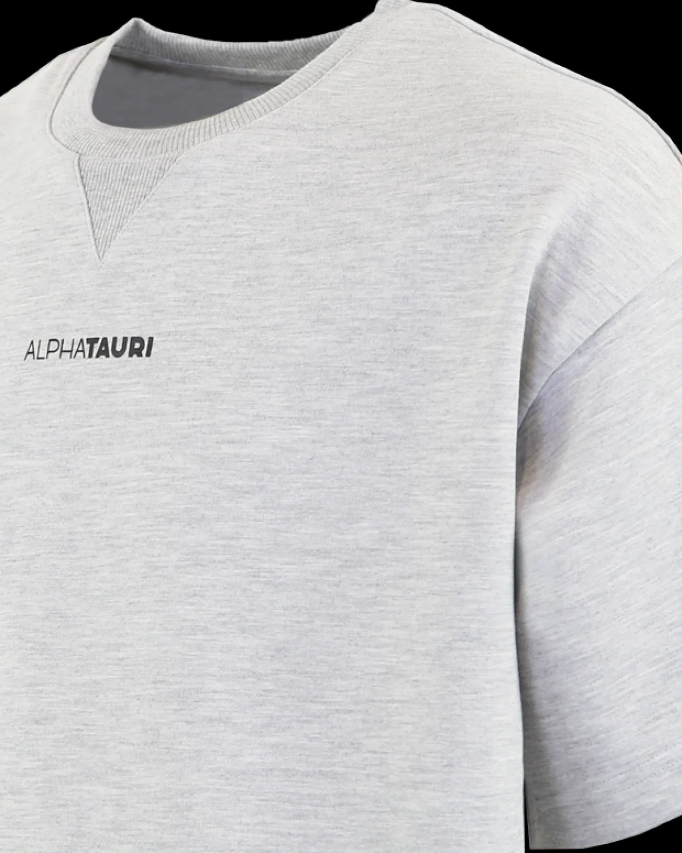 Heren Jahev T-Shirt Grijs