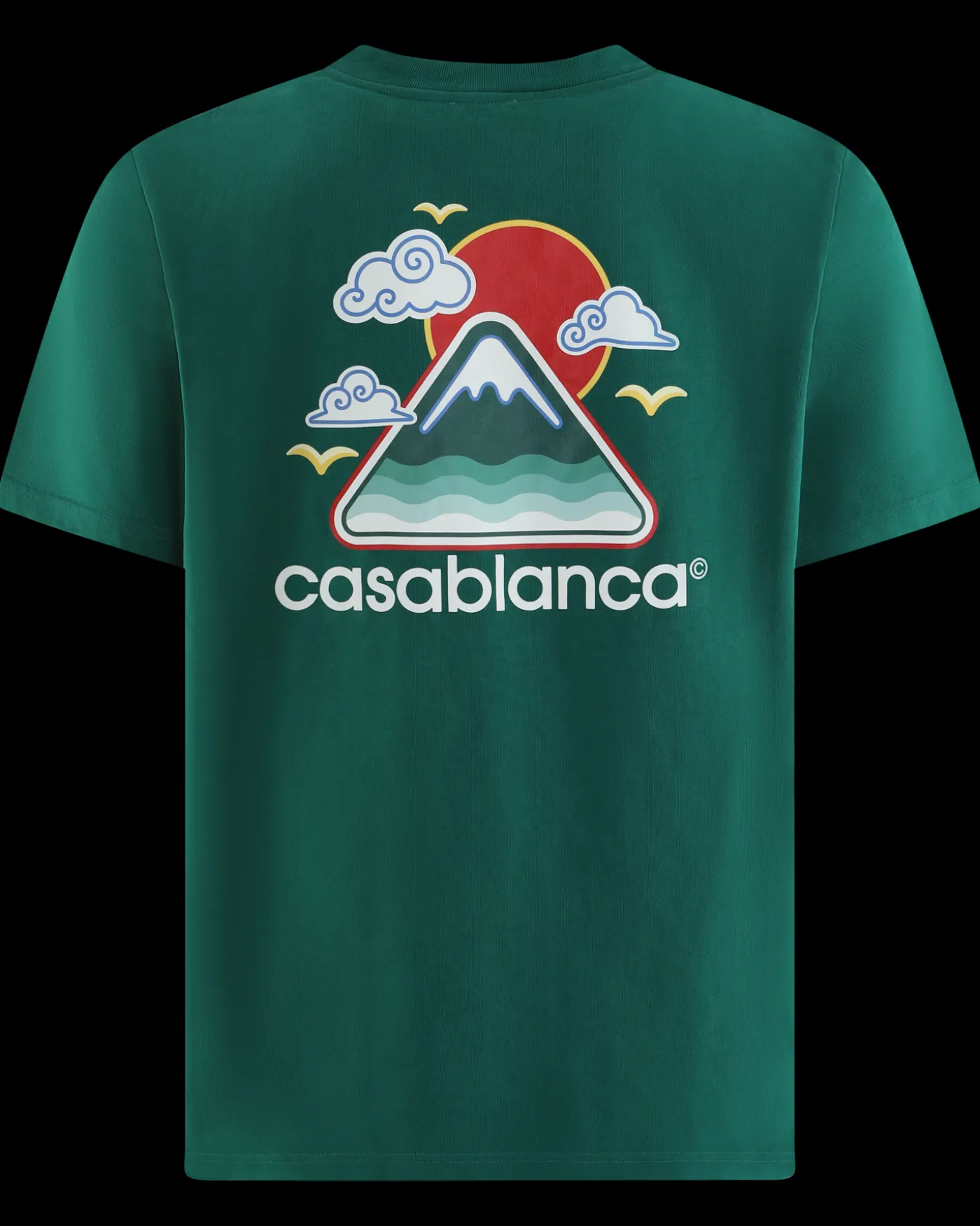 Heren Montagne Ondulée T-Shirt Groen