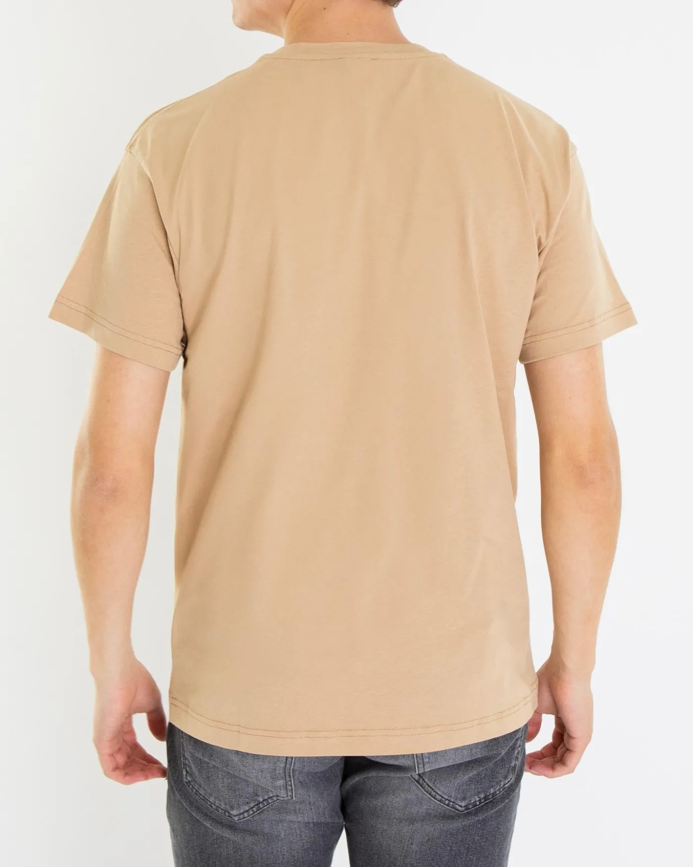 Heren T-Norm-T6 T-Shirt Beige